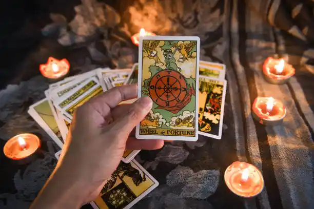 tarot cards Collinsville